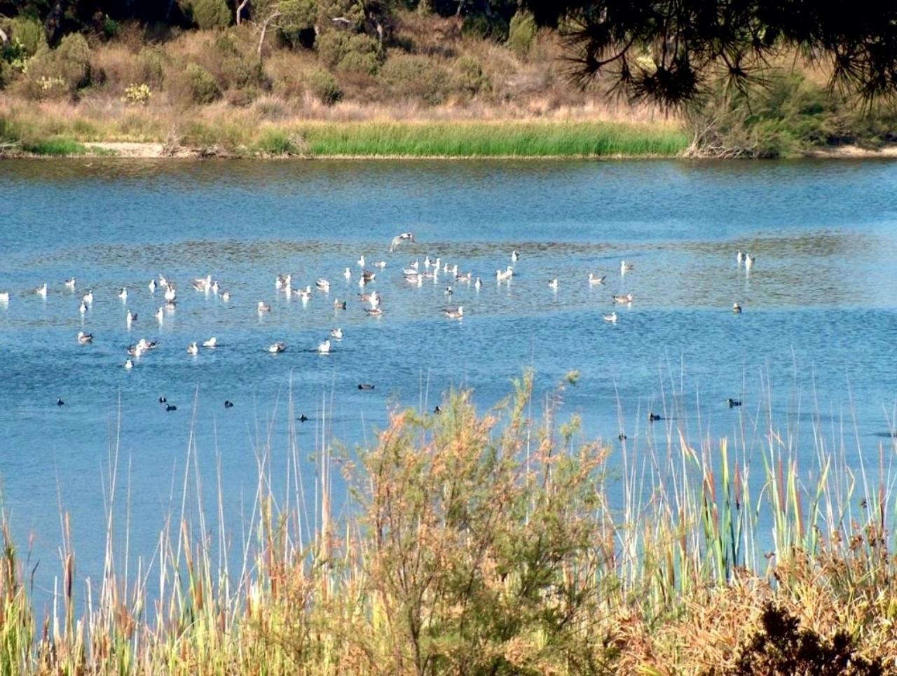 Paqo Lodge Laguna Del Portil, A 400 Metros De La Playa Dış mekan fotoğraf
